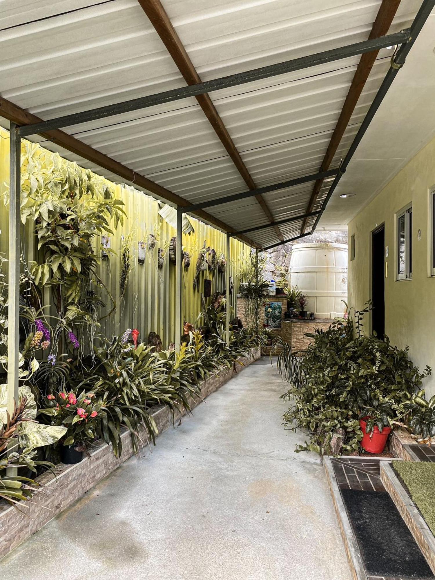 Anse Norwa Self Catering Apartment Beau Vallon  Exterior photo